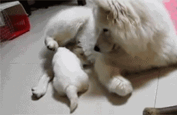 索命女鬼迅雷下载_恐怖片女鬼应对技巧_内地女鬼逃生手册