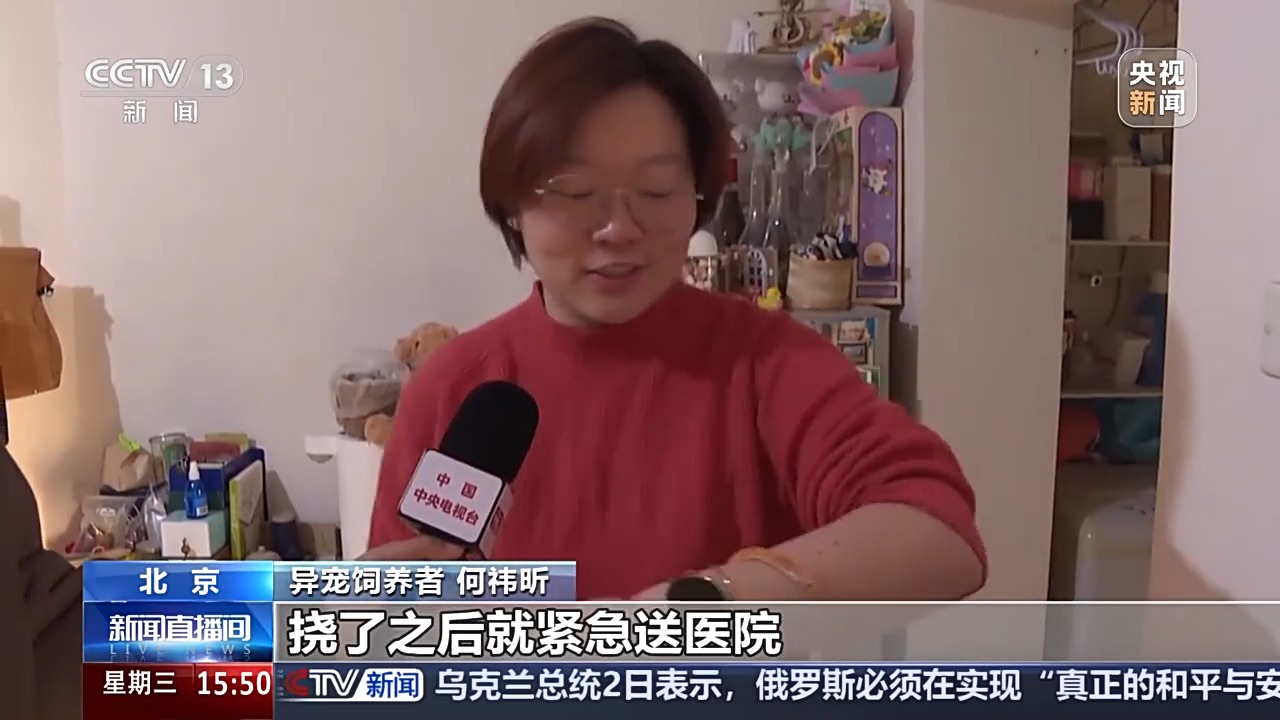 异宠饲养风险_异宠医院诊疗服务_宠物饲养法txt下载