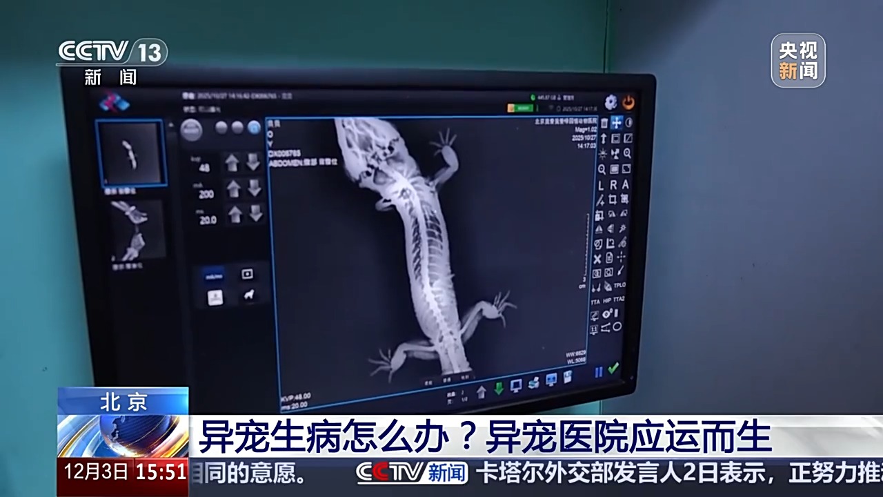 异宠饲养风险_宠物饲养法txt下载_异宠医院诊疗服务