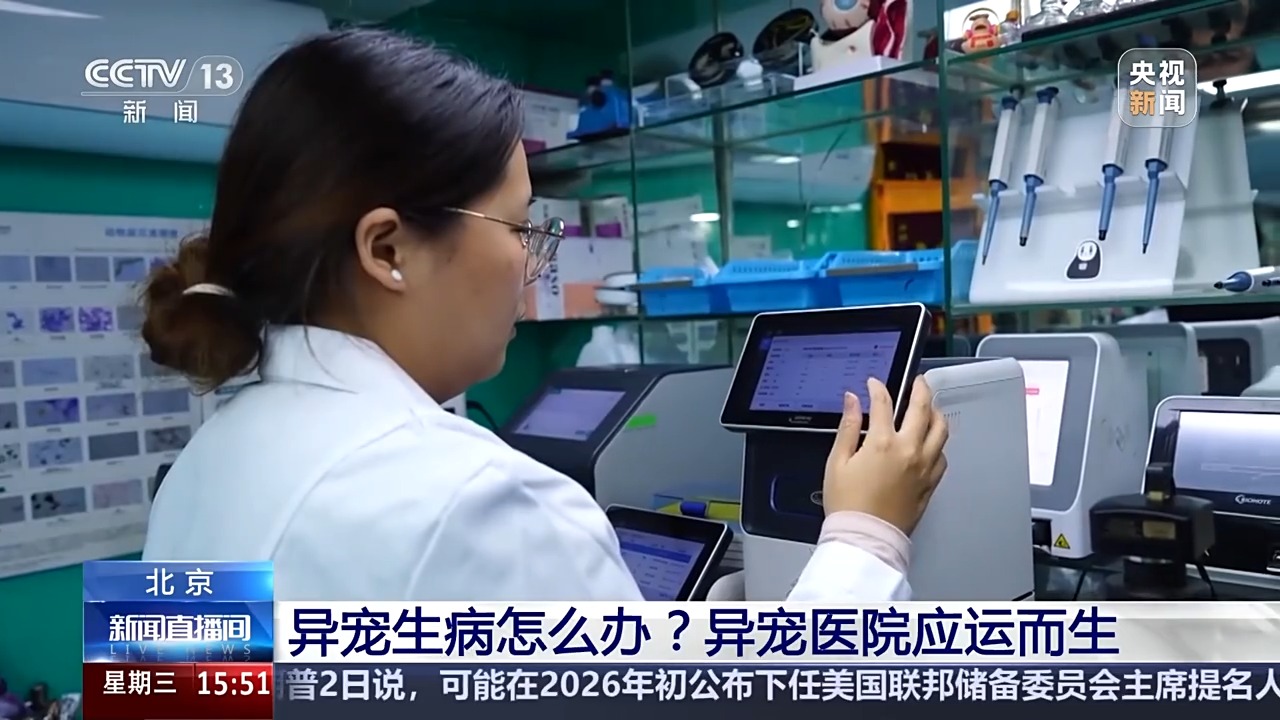 异宠饲养风险_宠物饲养法txt下载_异宠医院诊疗服务