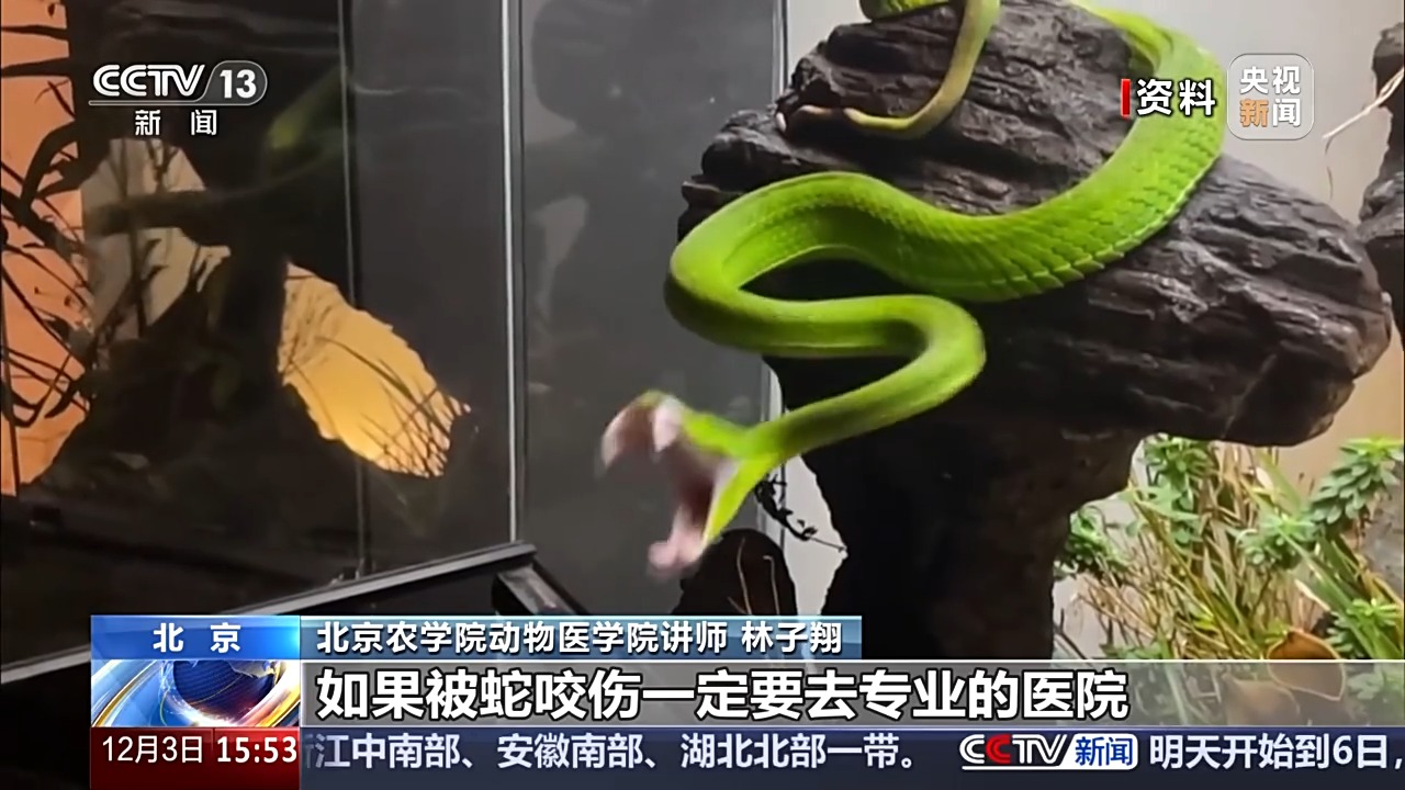 异宠医院诊疗服务_异宠饲养风险_宠物饲养法txt下载